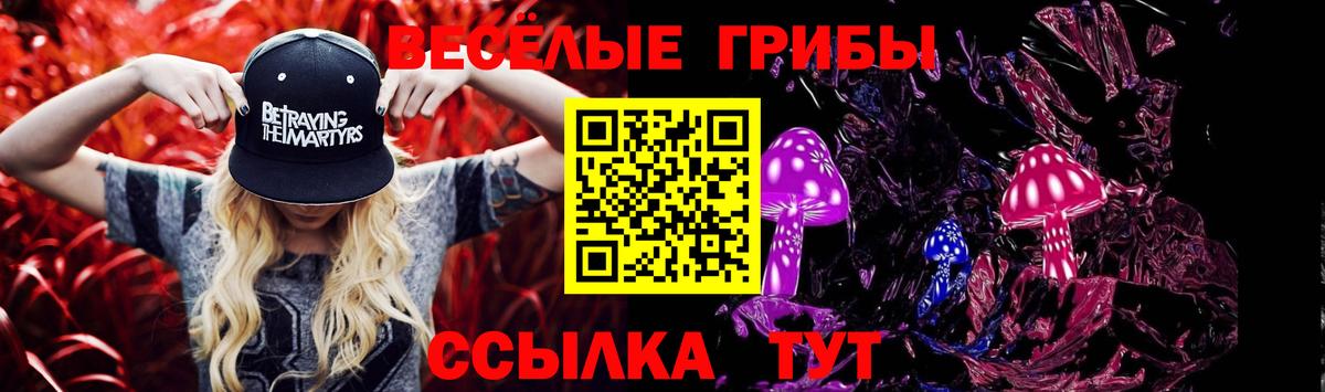 Сокол  Галлюциногенные грибы Psilocybine cubensis  Галлюциногенные грибы мухоморы  Вход с VPN 